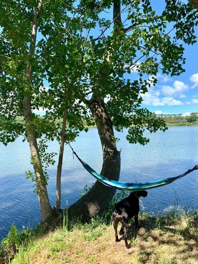 Lake House I Pioppi Nepi Bagian luar foto